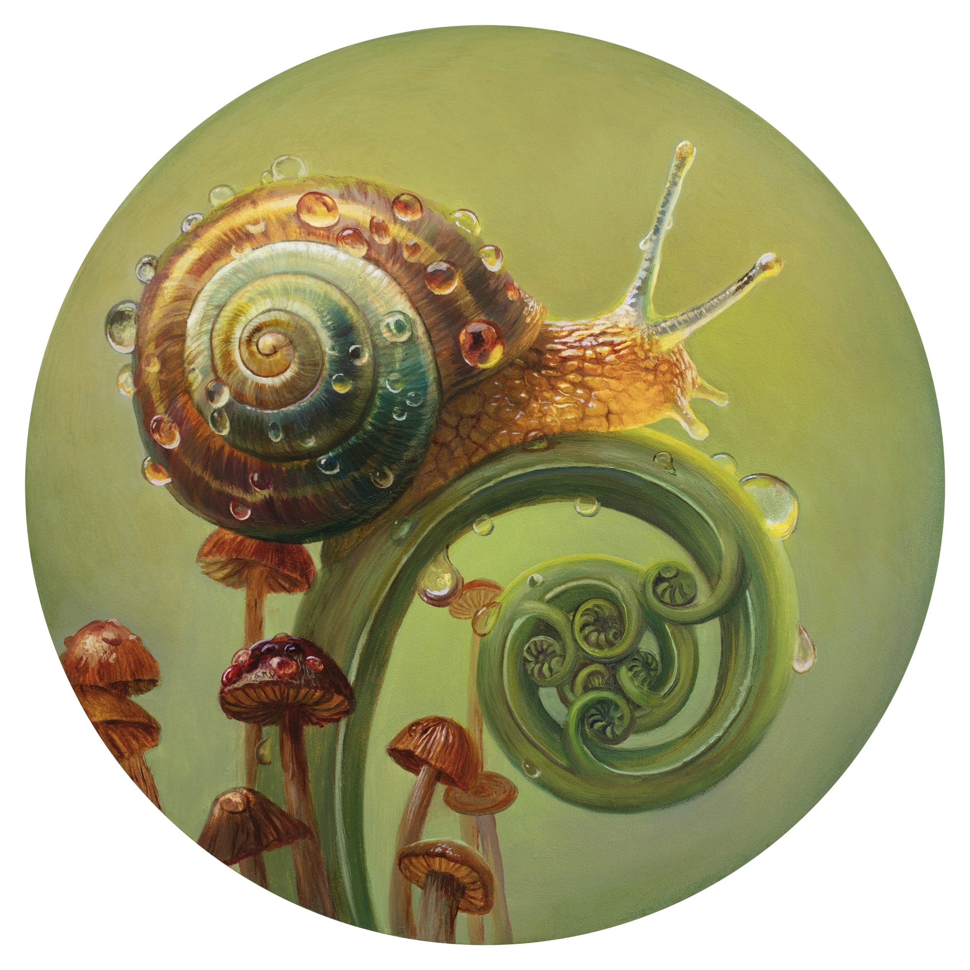 Parallelism 4 (Snail) — улитка и спираль растения