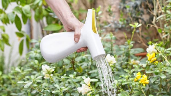 Watering can two in one Two Way