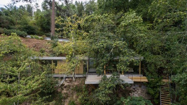 House is designed to disappear into its arboreal setting