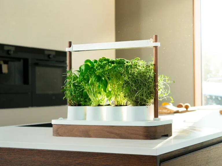 Мини-сад без технологий