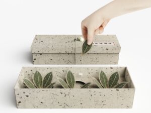 Рука извлекает чайный пакетик в форме листа из коробки Leaf Vein Tea