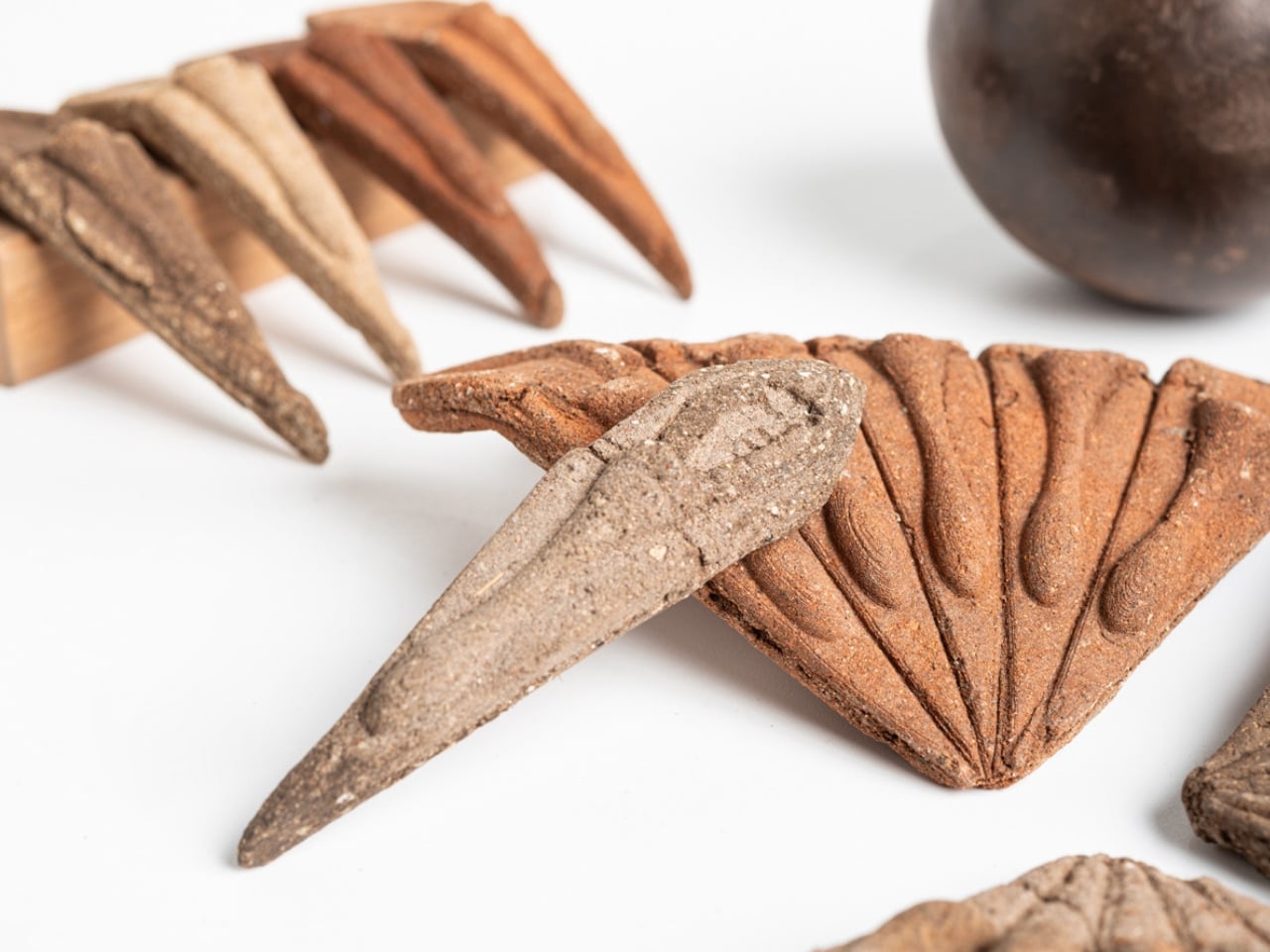 Веерообразные модули Terra Seeds из прессованного грунта
