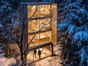 Wardrobe House среди заснеженных деревьев с освещёнными комнатами