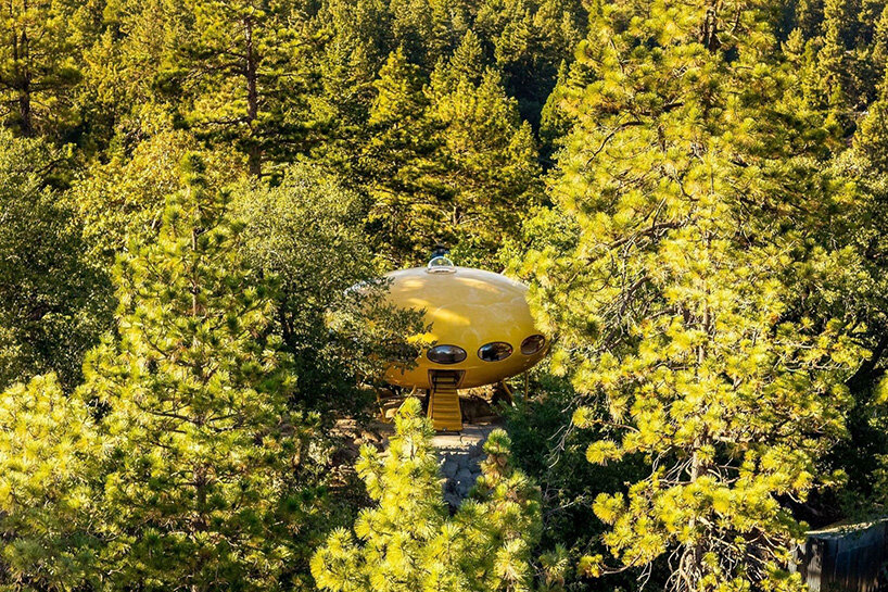 Futuro House среди соснового леса с высоты